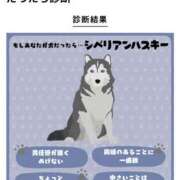 ヒメ日記 2025/12/03 17:12 投稿 小林紀香 五十路マダム富山店(カサブランカグループ)