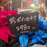 ヒメ日記 2025/12/16 03:52 投稿 小林紀香 五十路マダム富山店(カサブランカグループ)