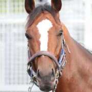 ヒメ日記 2025/12/23 18:32 投稿 小林紀香 五十路マダム富山店(カサブランカグループ)