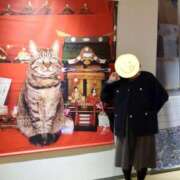 ヒメ日記 2026/01/02 18:04 投稿 小林紀香 五十路マダム富山店(カサブランカグループ)