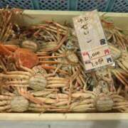 ヒメ日記 2026/01/10 22:04 投稿 小林紀香 五十路マダム富山店(カサブランカグループ)