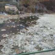 ヒメ日記 2026/01/22 16:44 投稿 小林紀香 五十路マダム富山店(カサブランカグループ)