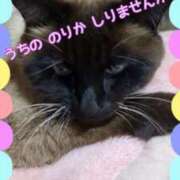 小林紀香 うちの のりか 知りませんか？ 五十路マダム富山店(カサブランカグループ)