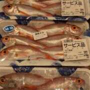ヒメ日記 2026/10/11 16:36 投稿 小林紀香 五十路マダム富山店(カサブランカグループ)