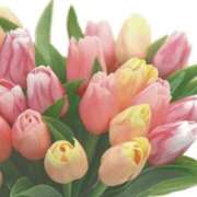 しろ 31日カリフォルニア101号室 治療院.LOVE小山店