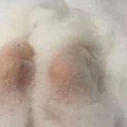 ヒメ日記 2025/11/25 14:10 投稿 おれんじ チューリップ姫路店