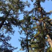 ましろ インフルエンザ🌀🌀💉 ハピネス東京