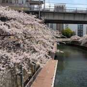 ヒメ日記 2026/06/02 05:27 投稿 ましろ ハピネス東京