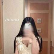 ヒメ日記 2026/02/21 16:30 投稿 白瀬もも クラブ　ブレンダ梅田北店