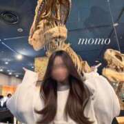 ヒメ日記 2026/02/28 14:51 投稿 白瀬もも クラブ　ブレンダ梅田北店