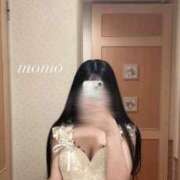 ヒメ日記 2026/05/10 20:17 投稿 白瀬もも クラブ　ブレンダ梅田北店