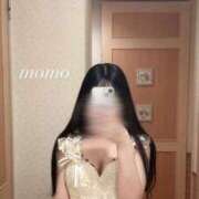 ヒメ日記 2026/06/12 14:41 投稿 白瀬もも クラブ　ブレンダ梅田北店