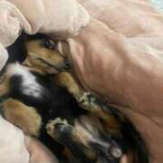 ヒメ日記 2025/09/17 13:28 投稿 しいな（極上SPコース対応） EIGHT（エイト）～8つのお約束と無限の可能性～