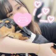 ヒメ日記 2025/09/29 23:08 投稿 しいな（極上SPコース対応） EIGHT（エイト）～8つのお約束と無限の可能性～