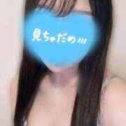 ヒメ日記 2025/11/08 03:03 投稿 のあ サクラ（すすきの）