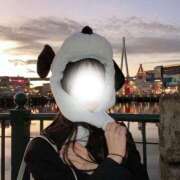 ヒメ日記 2025/11/29 12:19 投稿 のあ サクラ（すすきの）