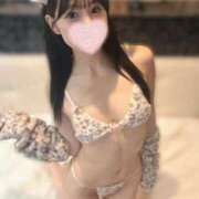 ヒメ日記 2025/11/26 12:01 投稿 あるか 男爵