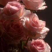 ヒメ日記 2025/11/07 10:30 投稿 卯月 あかり プルプルハウス