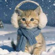 ヒメ日記 2025/11/11 14:00 投稿 卯月 あかり プルプルハウス