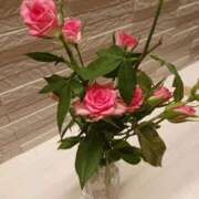 ヒメ日記 2025/10/06 12:22 投稿 ひばり 熊本グラマーグラマー