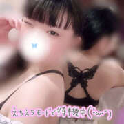 ヒメ日記 2025/08/29 08:22 投稿 はなの ハピネス福岡