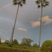 ヒメ日記 2025/09/20 19:59 投稿 Mikan【みかん】～櫻華～ 九州熟女　熊本店