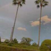 ヒメ日記 2025/09/20 19:51 投稿 Mikan【みかん】 熊本　櫻華