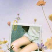 ヒメ日記 2025/09/20 17:29 投稿 めいさ 千葉人妻花壇