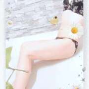 ヒメ日記 2025/12/30 00:31 投稿 めいさ 千葉人妻花壇