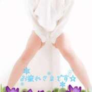 ヒメ日記 2026/01/22 23:22 投稿 めいさ 千葉人妻花壇