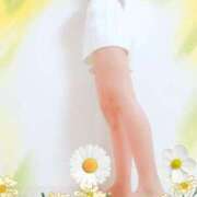 ヒメ日記 2026/01/23 22:48 投稿 めいさ 千葉人妻花壇