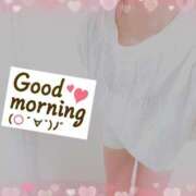 ヒメ日記 2026/02/06 10:00 投稿 めいさ 千葉人妻花壇