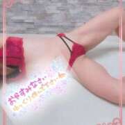 ヒメ日記 2026/02/12 02:40 投稿 めいさ 千葉人妻花壇