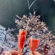 ヒメ日記 2026/04/09 00:55 投稿 めいさ 千葉人妻花壇