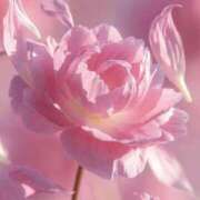 ヒメ日記 2025/12/03 15:06 投稿 きづき 熟女の風俗最終章 立川店