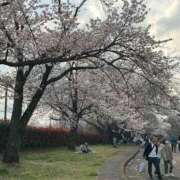 ヒメ日記 2026/03/31 22:33 投稿 きづき 熟女の風俗最終章 立川店
