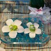 ヒメ日記 2025/08/25 18:10 投稿 ひろの 即トク奥さん