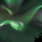 ヒメ日記 2025/09/04 23:30 投稿 ひろの 即トク奥さん