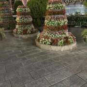 ヒメ日記 2025/09/08 00:10 投稿 ひろの 即トク奥さん