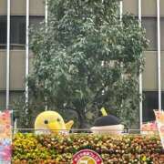 ヒメ日記 2025/10/19 13:30 投稿 ひろの 即トク奥さん