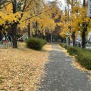 ヒメ日記 2025/12/01 18:20 投稿 ひろの 即トク奥さん