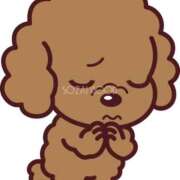 ヒメ日記 2026/01/29 11:40 投稿 ひろの 即トク奥さん