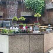 ヒメ日記 2026/01/29 20:50 投稿 ひろの 即トク奥さん