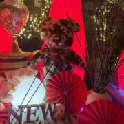 ヒメ日記 2026/01/30 22:22 投稿 ひろの 即トク奥さん