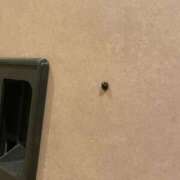 ヒメ日記 2026/09/23 12:14 投稿 ひろの 即トク奥さん