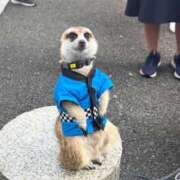 るな ちょっとだけ遅れます ワンダフル