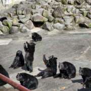 ヒメ日記 2025/10/24 20:37 投稿 こずえ 奥様の実話 梅田店