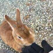 ヒメ日記 2025/11/01 22:27 投稿 こずえ 奥様の実話 梅田店