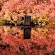 こずえ 紅葉(*´▽｀*) 奥様の実話 梅田店