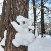 ヒメ日記 2026/03/14 19:00 投稿 こずえ 奥様の実話 梅田店